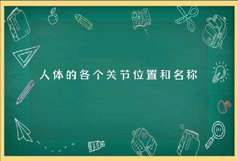 人体的各个关节位置和名称,第1张