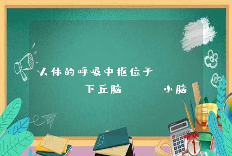 人体的呼吸中枢位于（　　） A．下丘脑 B．小脑 C．脑干 D．脊髓,第1张