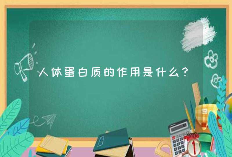 人体蛋白质的作用是什么？,第1张