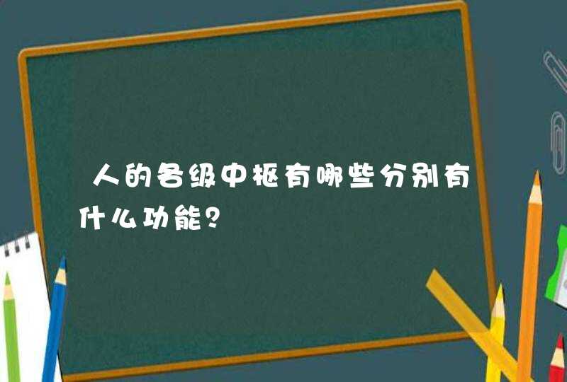 人的各级中枢有哪些分别有什么功能？,第1张