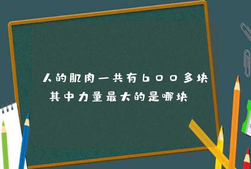 人的肌肉一共有600多块，其中力量最大的是哪块？,第1张