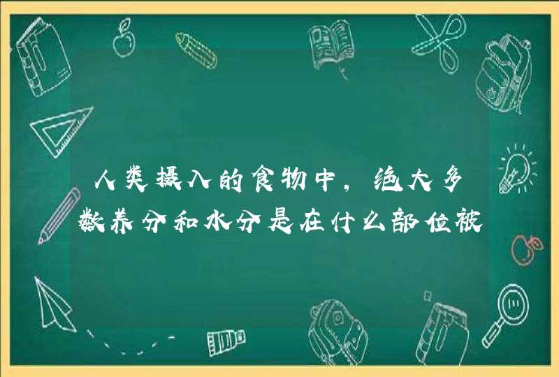 人类摄入的食物中,绝大多数养分和水分是在什么部位被吸收的?,第1张