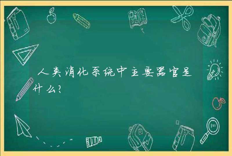 人类消化系统中主要器官是什么？,第1张