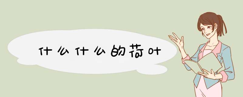 什么什么的荷叶,第1张