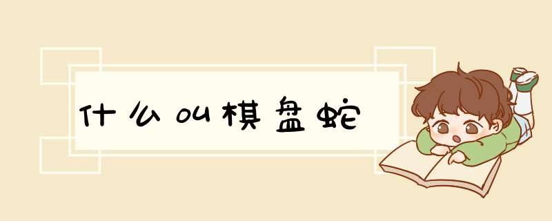 什么叫棋盘蛇,第1张