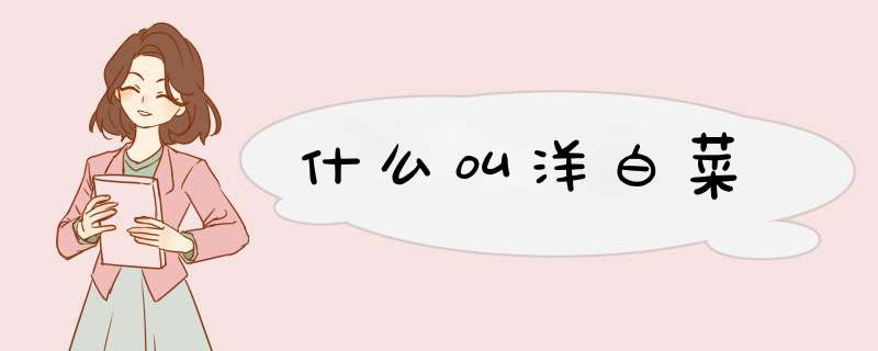 什么叫洋白菜,第1张