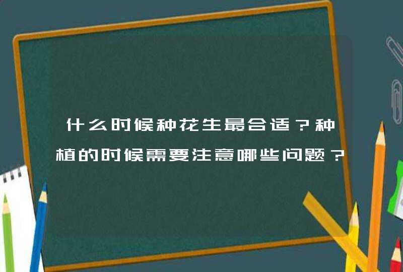 什么时候种花生最合适？种植的时候需要注意哪些问题？,第1张