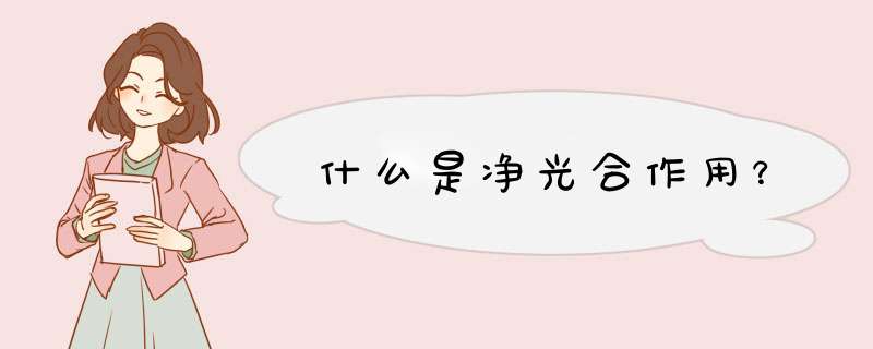 什么是净光合作用？,第1张