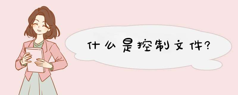 什么是控制文件?,第1张