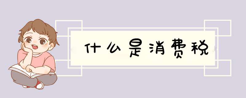 什么是消费税,第1张