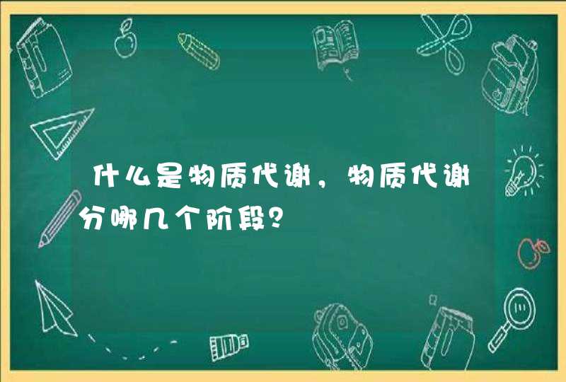 什么是物质代谢，物质代谢分哪几个阶段？,第1张