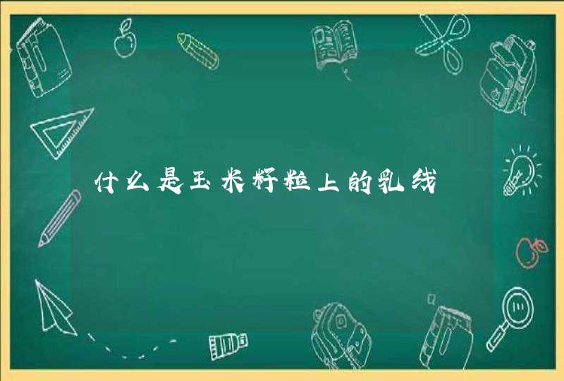 什么是玉米籽粒上的乳线,第1张