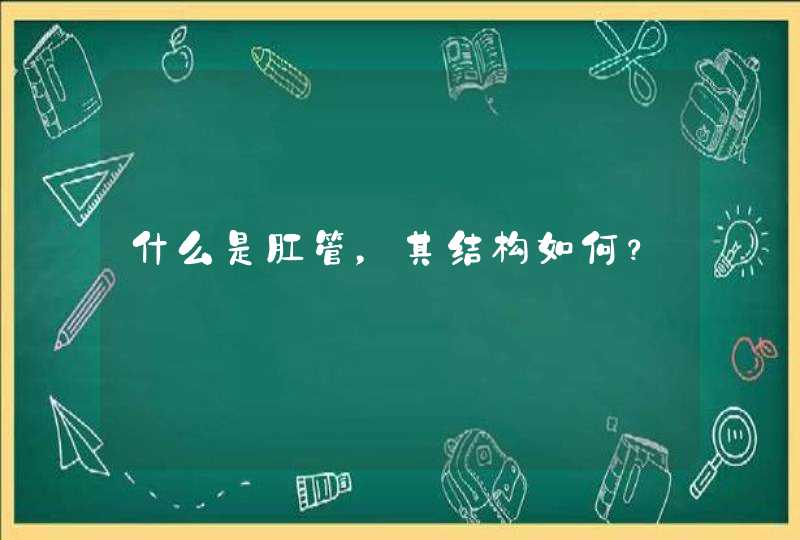 什么是肛管，其结构如何？,第1张