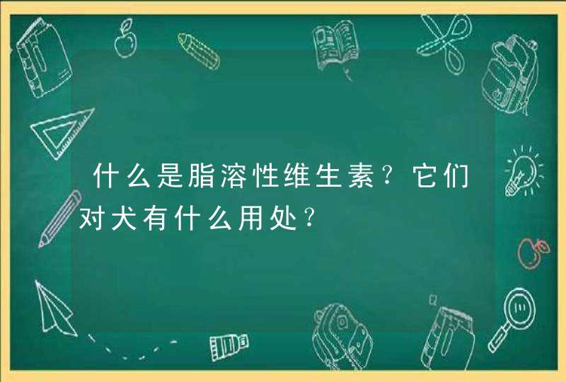 什么是脂溶性维生素？它们对犬有什么用处？,第1张