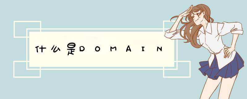 什么是DOMAIN,第1张