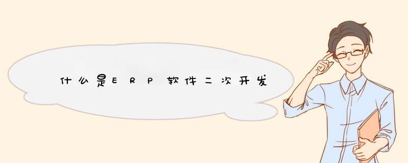 什么是ERP软件二次开发,第1张