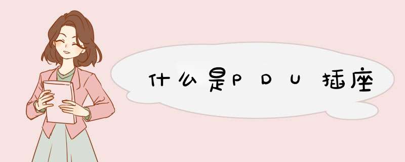 什么是PDU插座,第1张