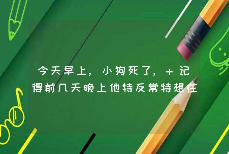 今天早上,小狗死了, 记得前几天晚上他特反常特想在我身边呆着,我没有注意,仍然让他自己赶紧睡觉., 昨天,,第1张