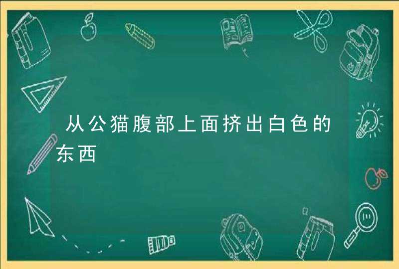 从公猫腹部上面挤出白色的东西,第1张