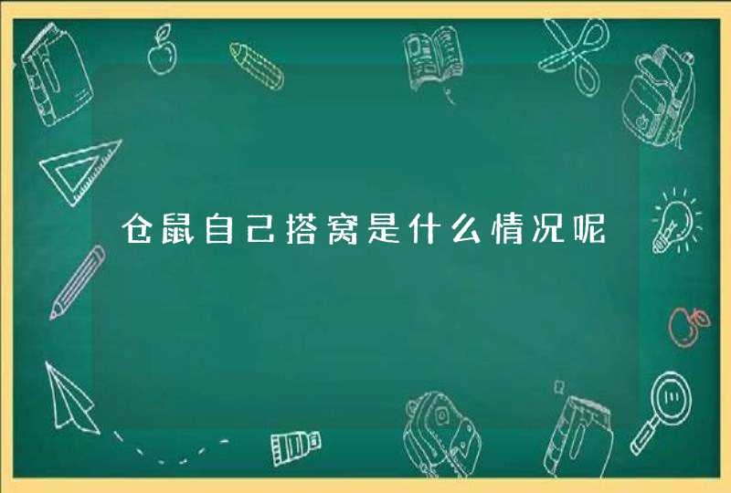 仓鼠自己搭窝是什么情况呢,第1张