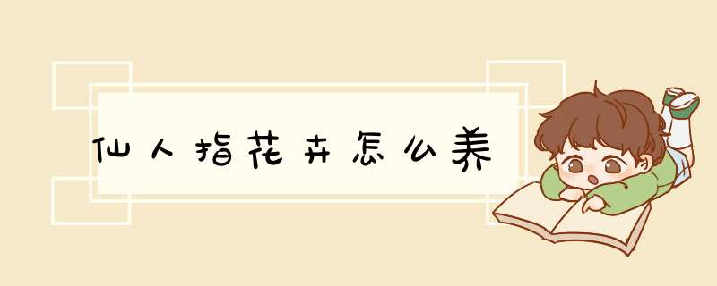 仙人指花卉怎么养,第1张