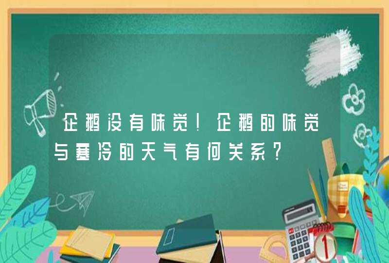 企鹅没有味觉！企鹅的味觉与寒冷的天气有何关系？,第1张