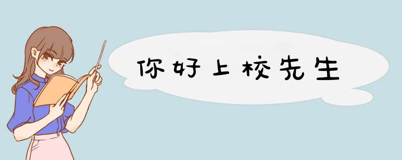 你好上校先生,第1张