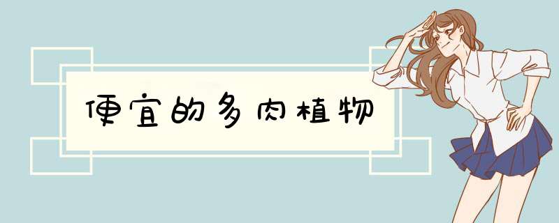 便宜的多肉植物,第1张