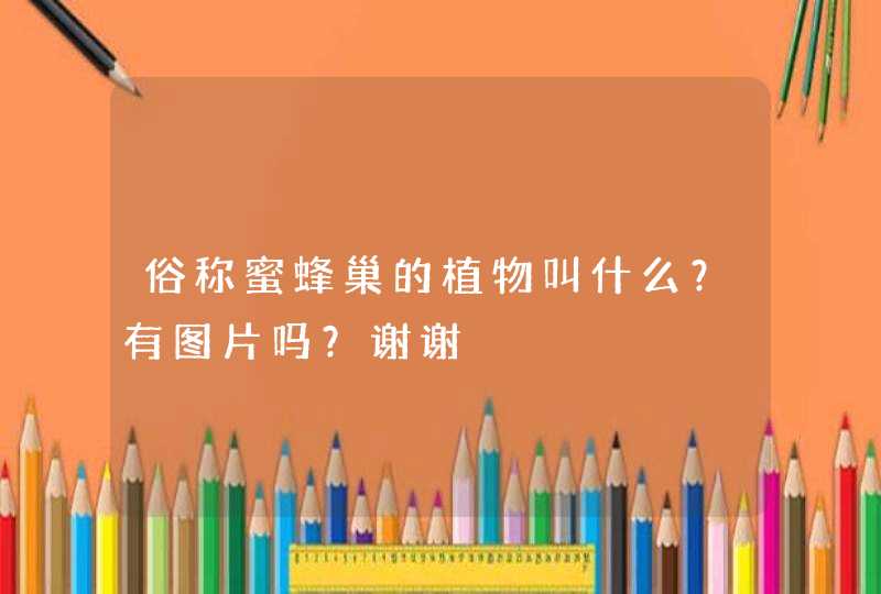 俗称蜜蜂巢的植物叫什么？有图片吗？谢谢,第1张