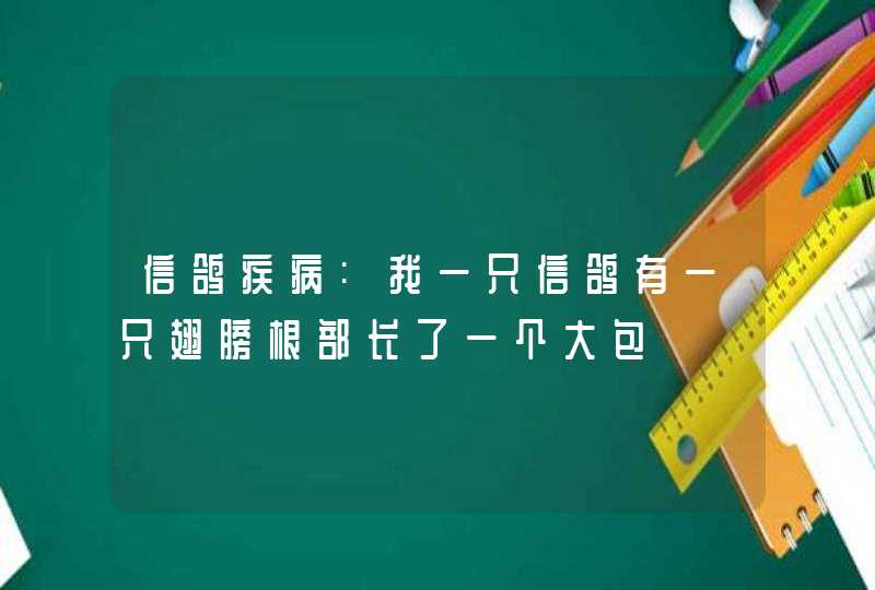 信鸽疾病:我一只信鸽有一只翅膀根部长了一个大包,第1张