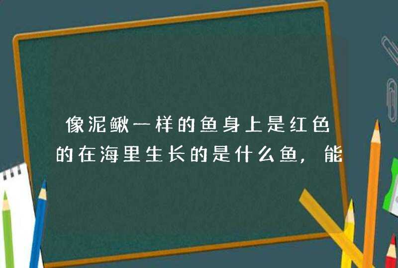 像泥鳅一样的鱼身上是红色的在海里生长的是什么鱼,能和鸡一起煲汤吗,第1张