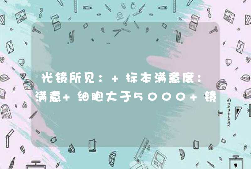 光镜所见： 标本满意度：满意 细胞大于5000 镜下见：以中表层为主的鳞状上皮细胞，部分细胞核增大,核浆比增,第1张