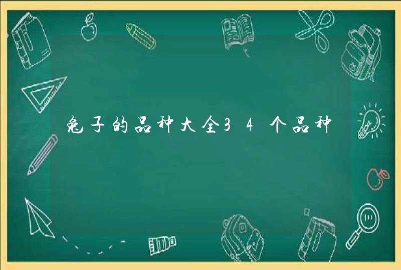 兔子的品种大全34个品种,第1张