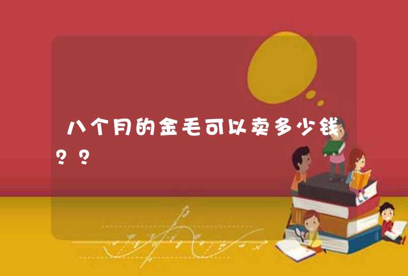 八个月的金毛可以卖多少钱？？,第1张