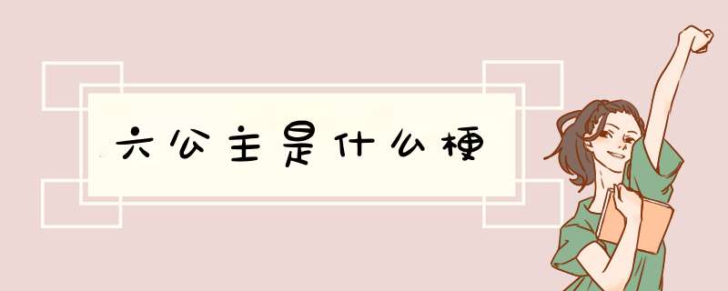 六公主是什么梗,第1张