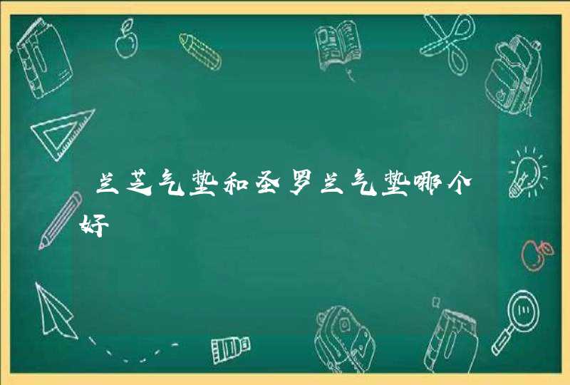 兰芝气垫和圣罗兰气垫哪个好,第1张