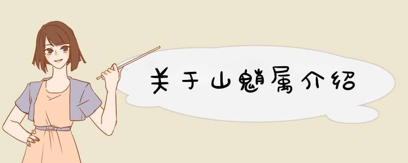 关于山魈属介绍,第1张