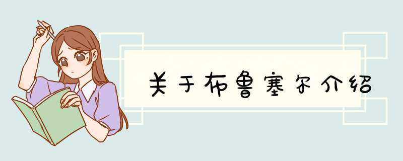 关于布鲁塞尔介绍,第1张