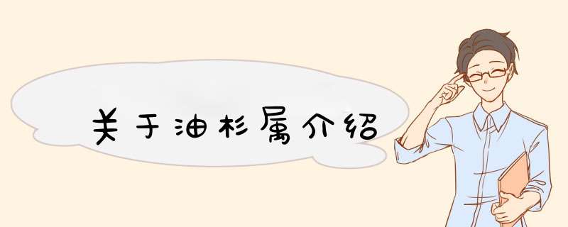 关于油杉属介绍,第1张