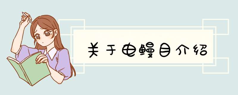 关于电鳗目介绍,第1张 关于电鳗目介绍,第1张