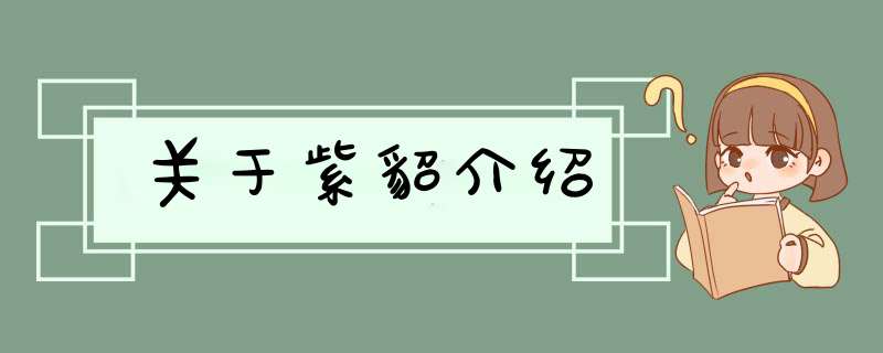 关于紫貂介绍,第1张