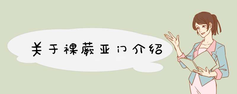 关于裸蕨亚门介绍,第1张