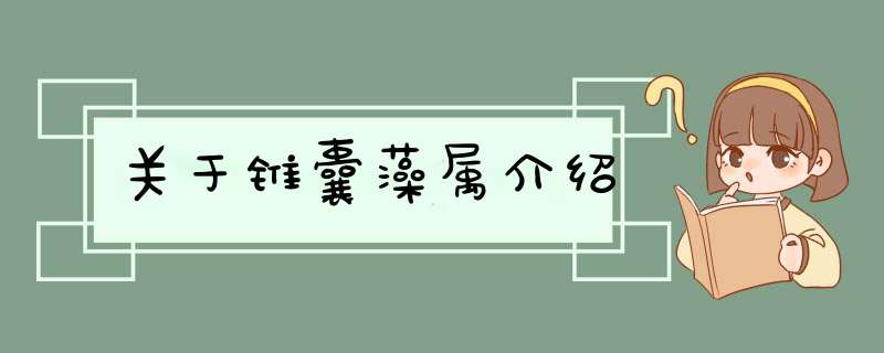 关于锥囊藻属介绍,第1张