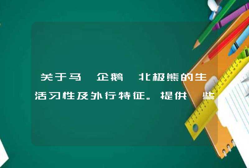 关于马、企鹅、北极熊的生活习性及外行特征。提供一些资料。,第1张