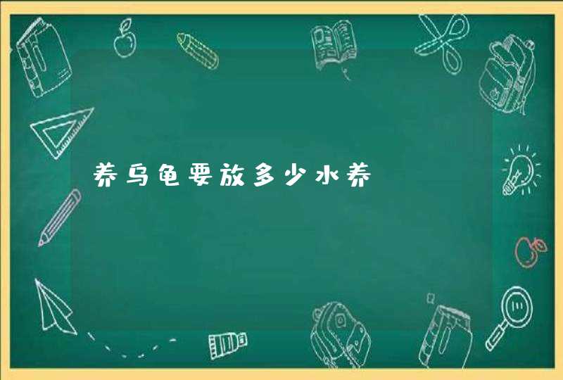 养乌龟要放多少水养,第1张