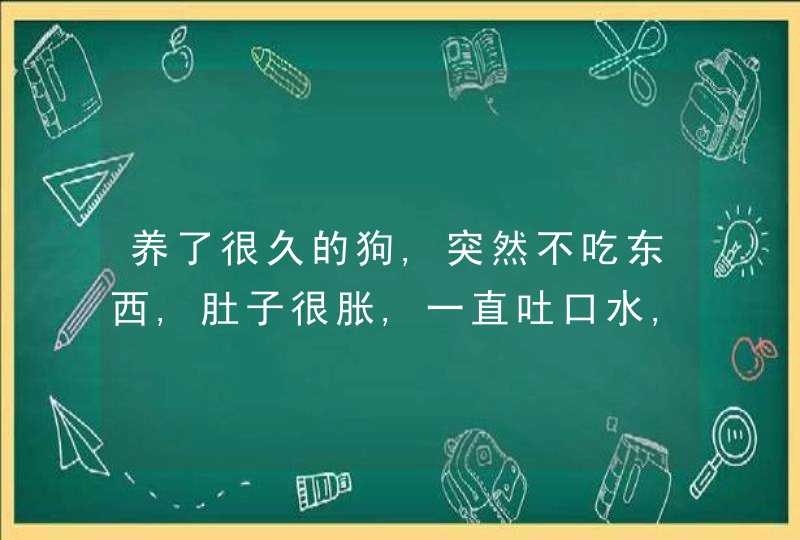 养了很久的狗,突然不吃东西,肚子很胀,一直吐口水,这是什么情况？,第1张