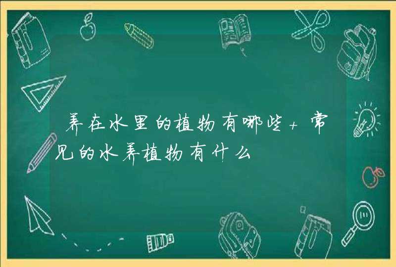 养在水里的植物有哪些 常见的水养植物有什么,第1张