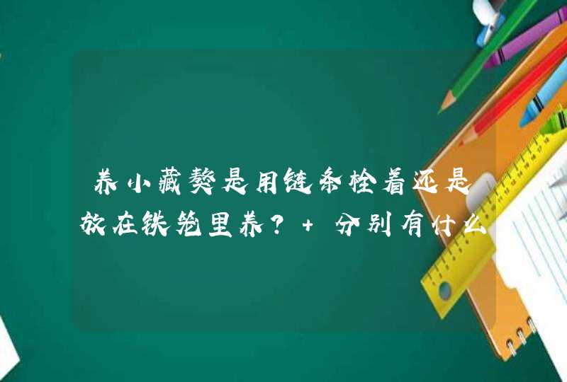 养小藏獒是用链条栓着还是放在铁笼里养？ 分别有什么优点和缺点？,第1张