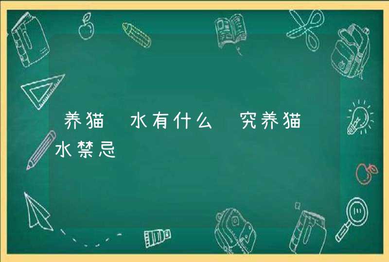 养猫风水有什么讲究养猫风水禁忌,第1张