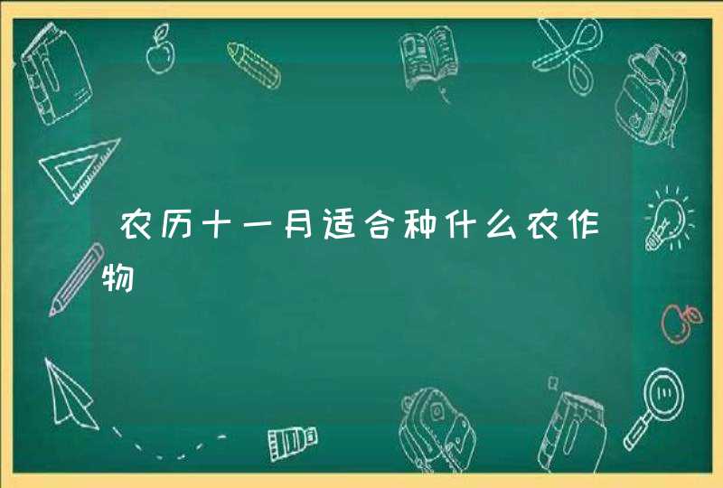 农历十一月适合种什么农作物,第1张